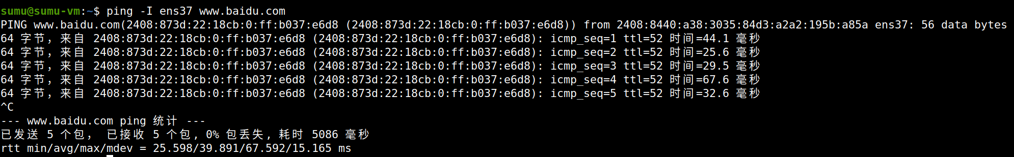 image-20251019211317130