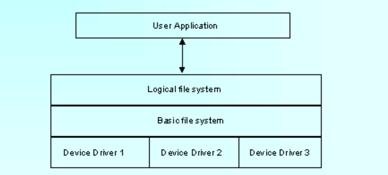 image-20241223135834973