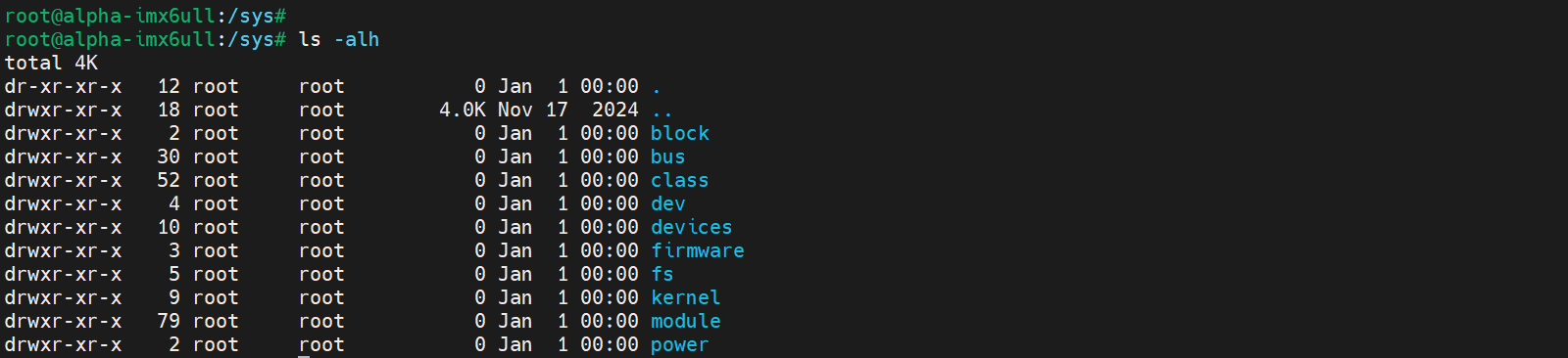 image-20250105105341778