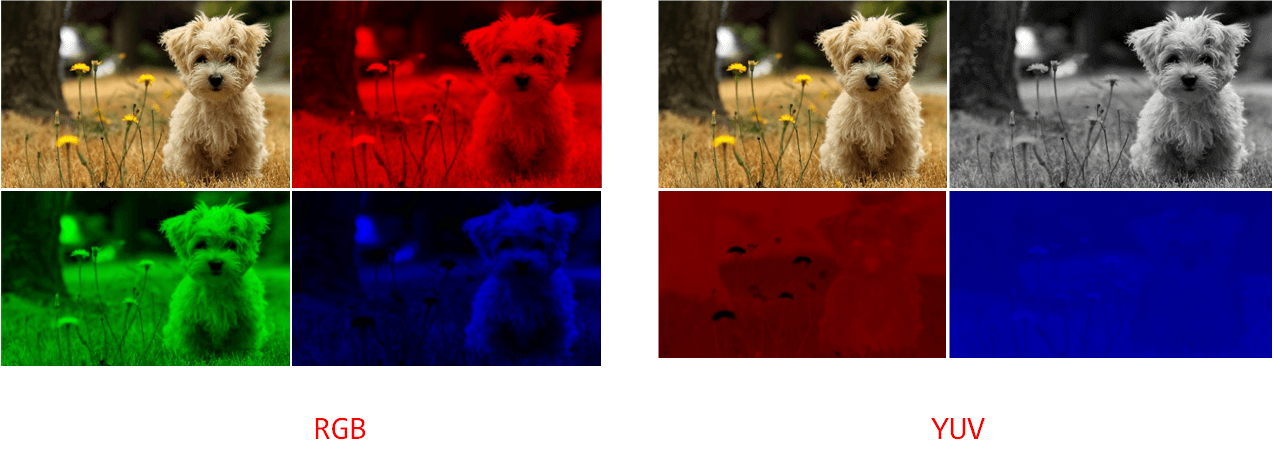 image-20240716074019578