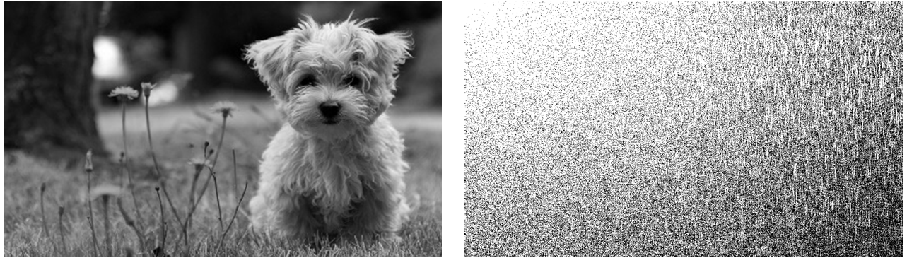 image-20240719070235395