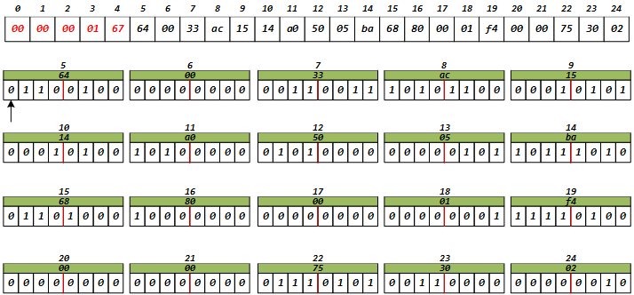 image-20241216202528199