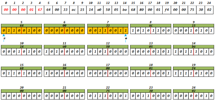 image-20241216203352731