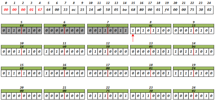 image-20241216203927607