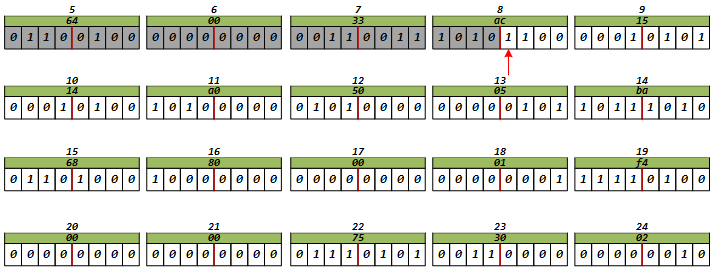 image-20241216204059314