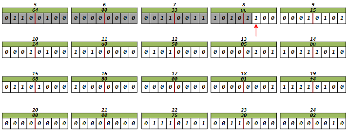 image-20241216204144271