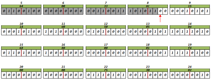 image-20241216204221277