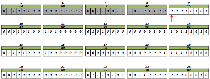 image-20241216204439678