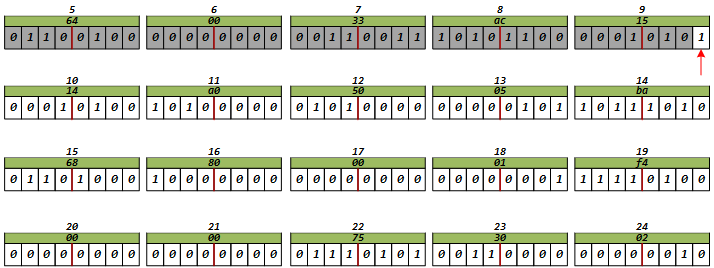 image-20241216204923372