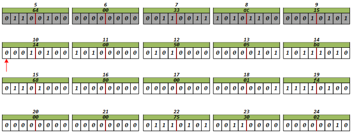 image-20241216205138883