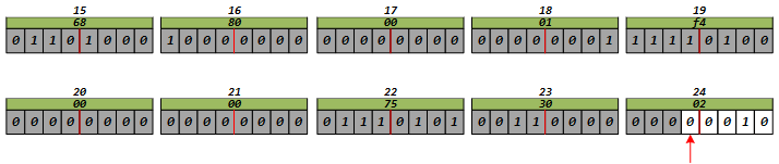 image-20241217101222645