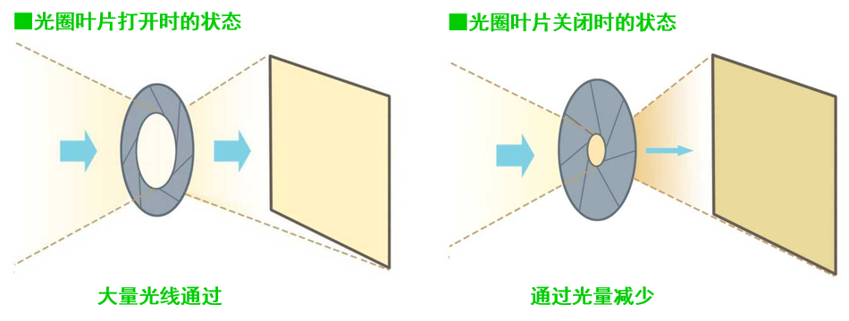 image-20251105101236016