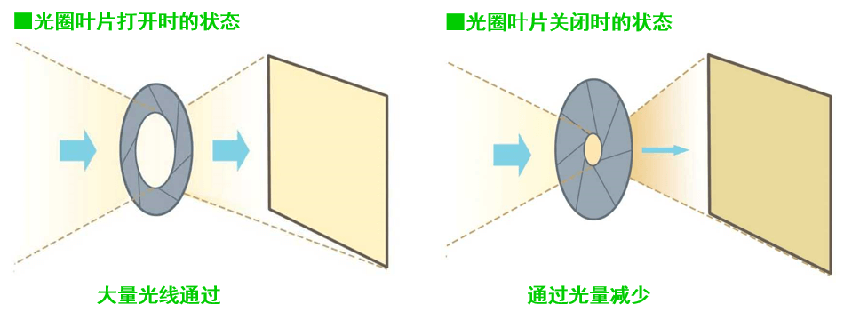 image-20251105101236016