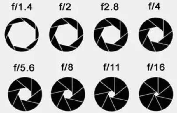 image-20251105124333063