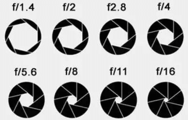 image-20251105124333063