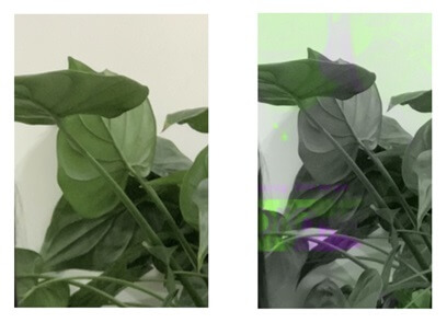 image-20251209151905451