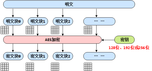 image-20251212155224252