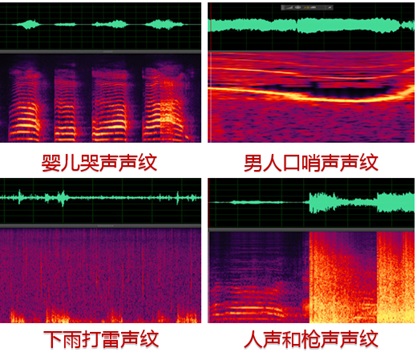 image-20251220191542831