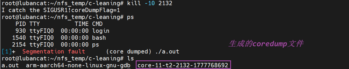 image-20260503084835536