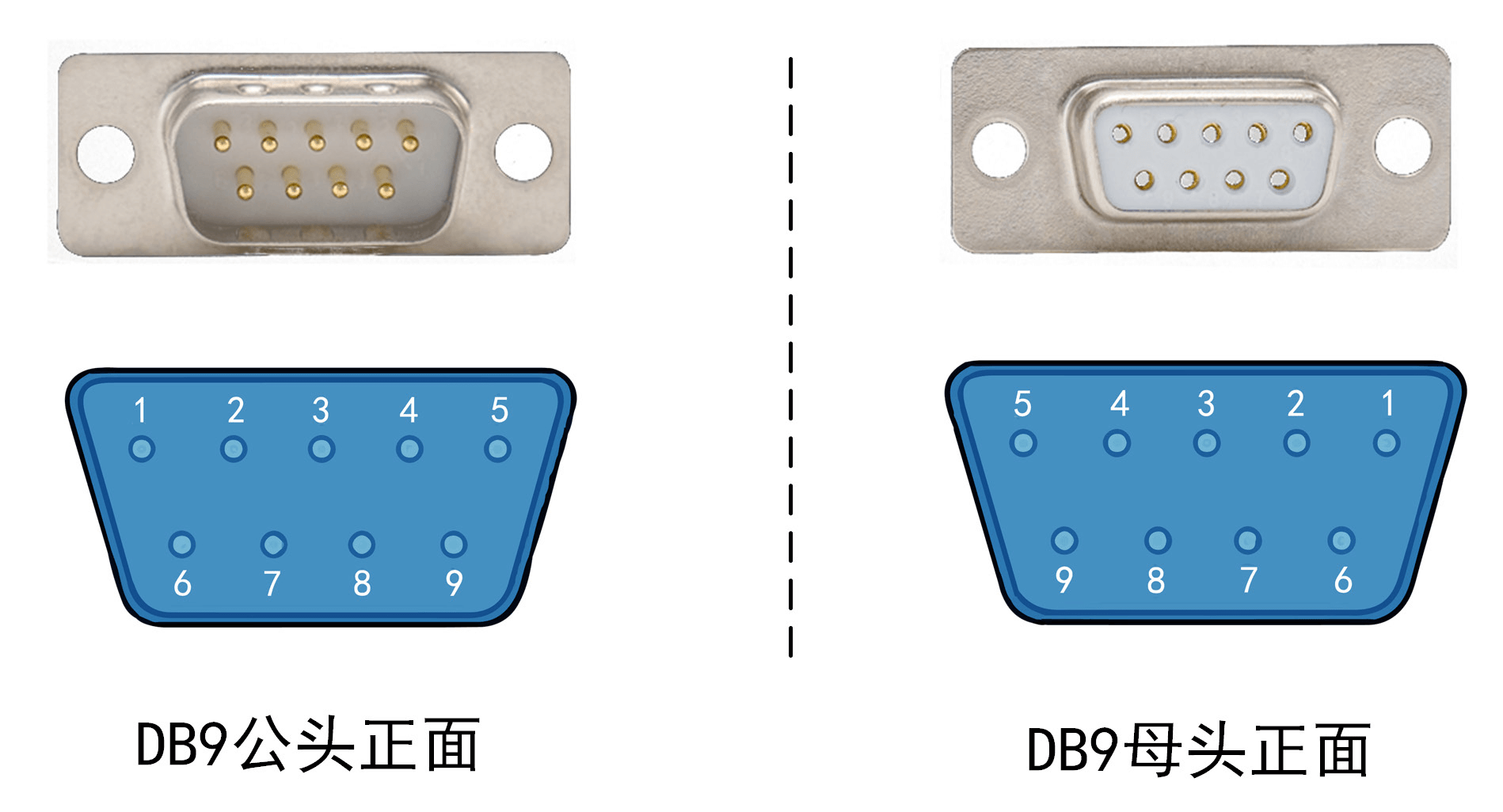 image-20230502074534375