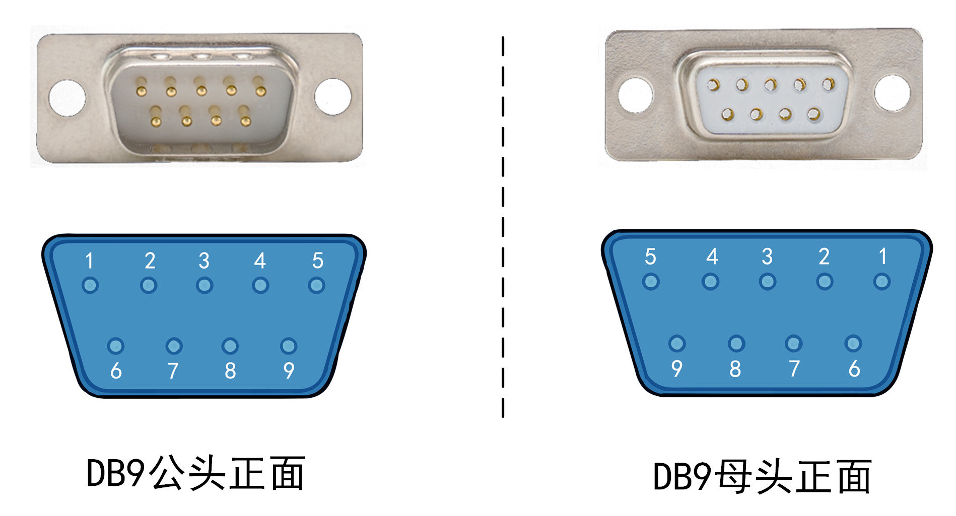 image-20230502074534375