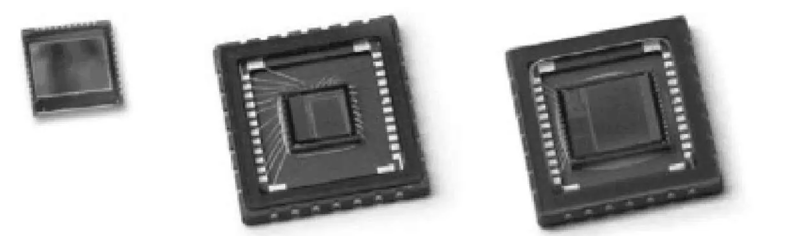 image-20240114143032445