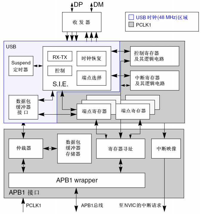 image-20240115220808558